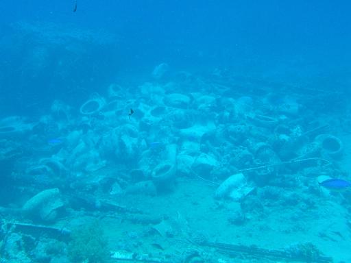 2008-05-16 (2) --- Parco Nazionale di 'Ras Mohamed' - Shark Reef & Yolanda Reef --- CIMG1127.JPG